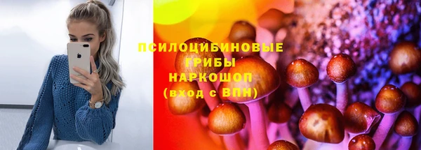 марки nbome Вяземский
