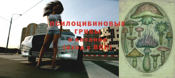 не бодяженный Шадринск