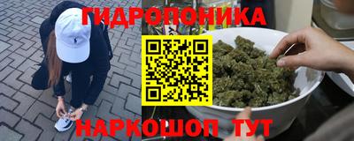 прущий лед Кингисепп
