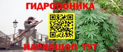 spice Кинель