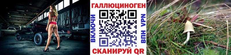 Псилоцибиновые грибы Psilocybine cubensis  купить   Сунжа 