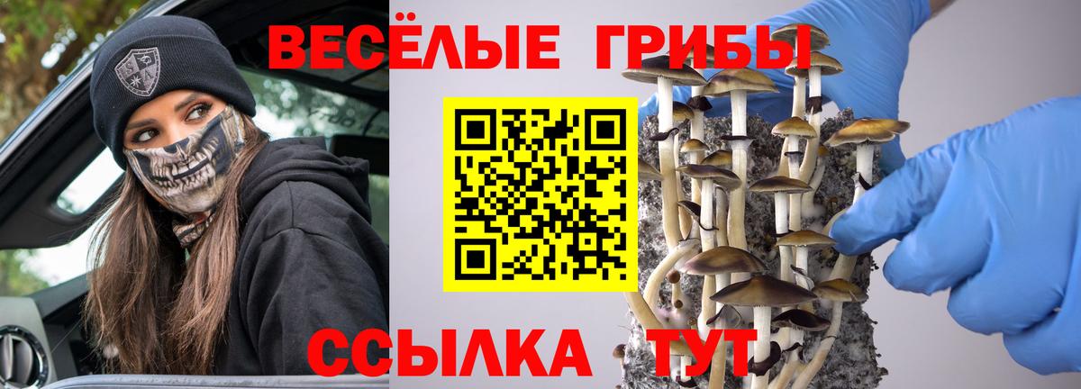 Галлюциногенные грибы Cubensis  Вход с VPN  Сунжа 