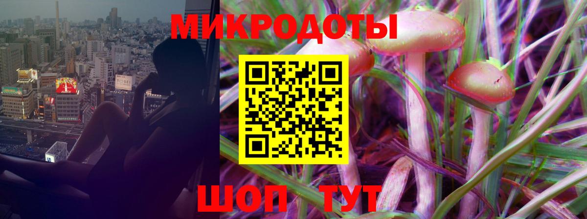 Псилоцибиновые грибы прущие грибы Сунжа
