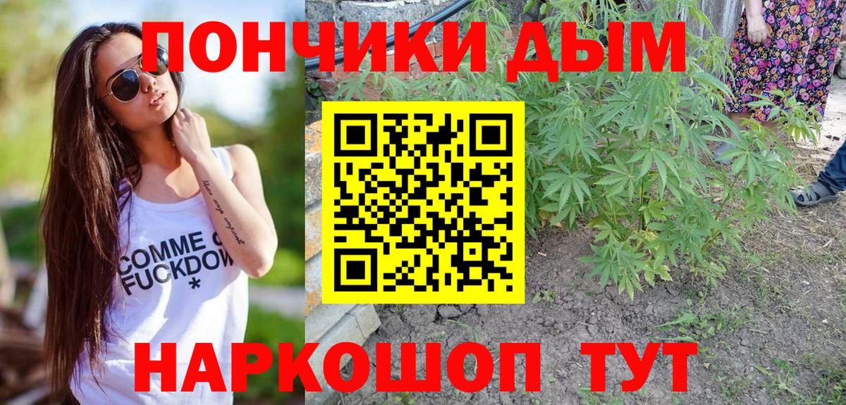Каннабис SATIVA & INDICA Сунжа